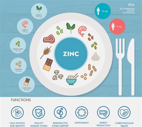 Diagramma che illustra le funzioni dello Zinco nella salute maschile