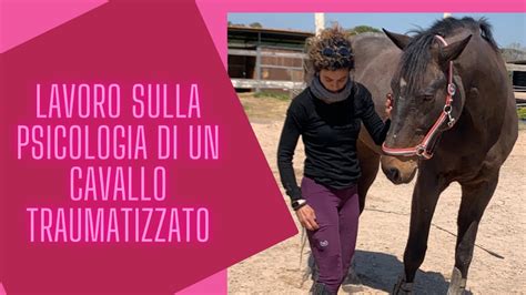 Amy addestra un cavallo traumatizzato