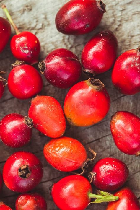 Frutti di Rosa Canina
