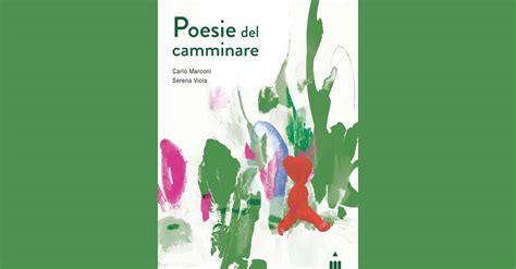 Copertina stilizzata del libro 
