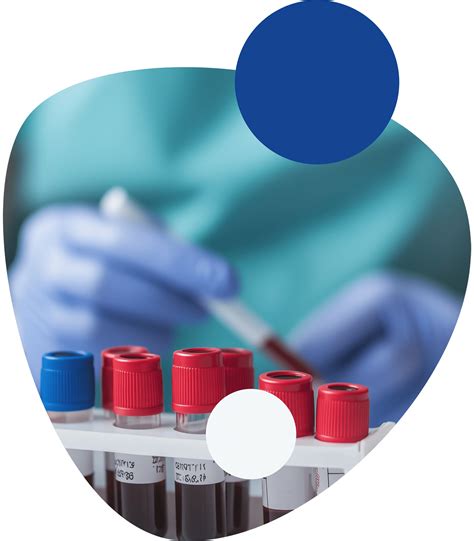 Microscopio e strumenti di laboratorio per diagnosi avanzata