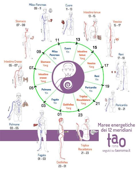 rappresentazione stilizzata dei meridiani energetici nel corpo umano