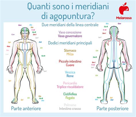 infografica sui punti di agopuntura più comuni utilizzati in gravidanza