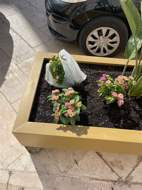 Bambino con un sacchetto di plastica al posto del pannolino