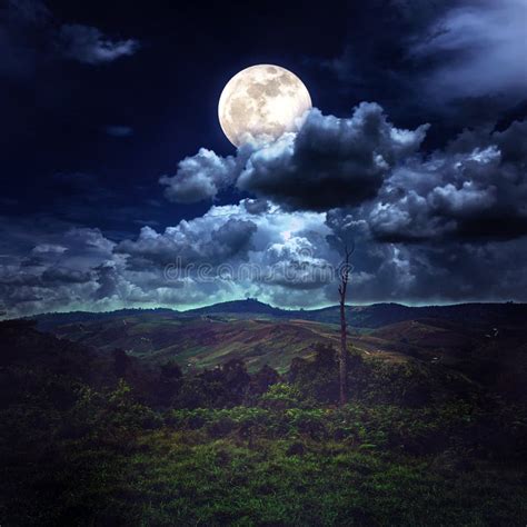 paesaggio notturno con un cielo stellato e una luna piena luminosa