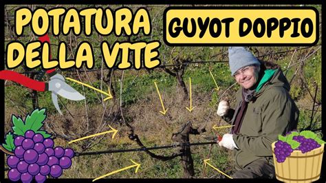 Contadino greco antico che pota una vite