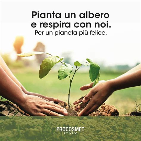 l'immagine metaforica di un anziano che pianta un albero, simbolo di futuro e cura del presente