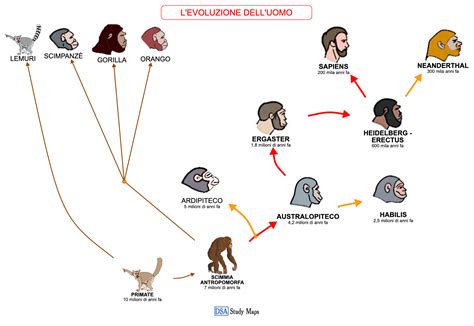 mappa concettuale del percorso evolutivo battiatiano
