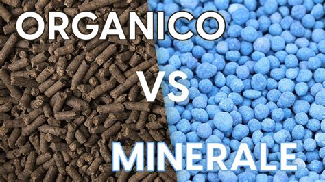 Confronto grafico tra concime organico e minerale