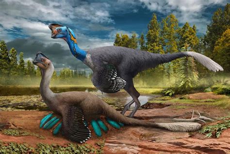 dinosauro Oviraptor in posa di cova su un nido