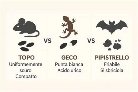 infografica sulle differenze di pulizia tra bimbi e bimbe