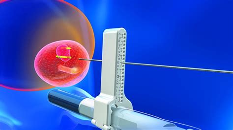 Microscopio e strumenti per la biopsia embrionale nella PGD