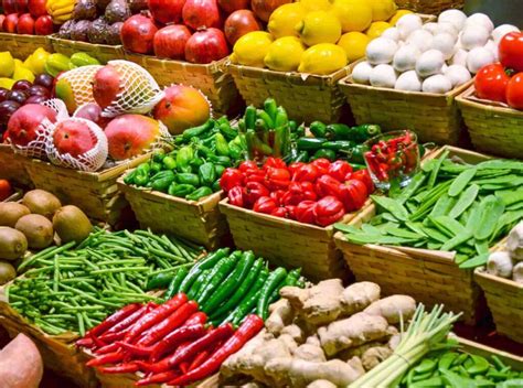 infografica che mostra la stagionalità e l'altezza di diverse specie vegetali