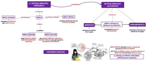Mappa concettuale del sistema di ristorazione universitario e ospedaliero a Verona