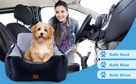 cane felice su un seggiolino auto