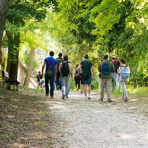 donna in gravidanza che indossa leggings comodi durante una passeggiata nel parco