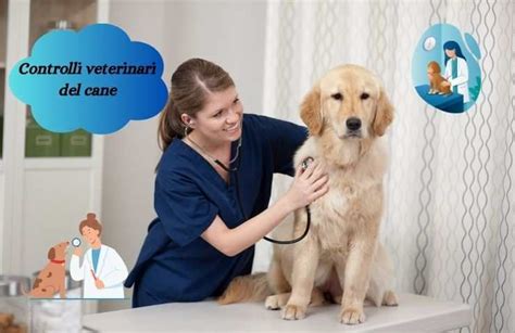 Schema dei controlli veterinari periodici per razze toy