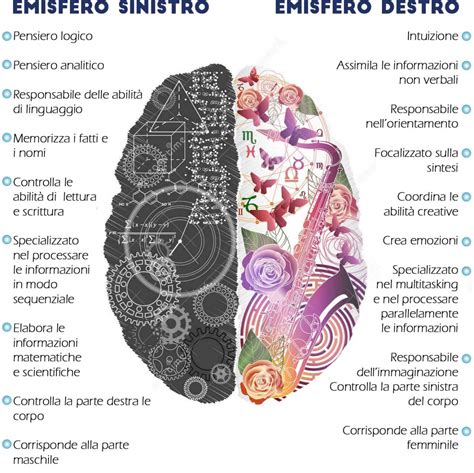 Cervello umano emisferi
