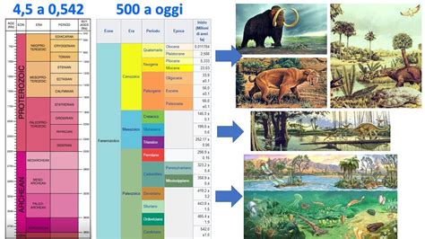 linea del tempo evoluzione seggiolini auto dagli anni 30 a oggi