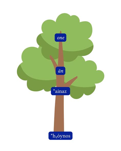 Etymological tree of the word 