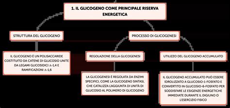 rappresentazione stilizzata dell'ormone beta-hCG e della sua funzione nel corpo femminile