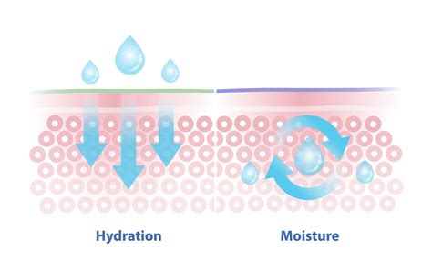 Image illustrating skin hydration process