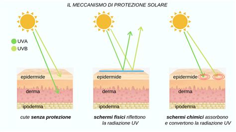 schema dei filtri solari sulla pelle