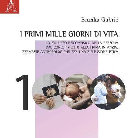 infografica sui 