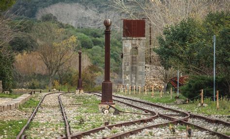 Veduta aerea stilizzata del parco di Cinecittà Est con la struttura della biblioteca centrale