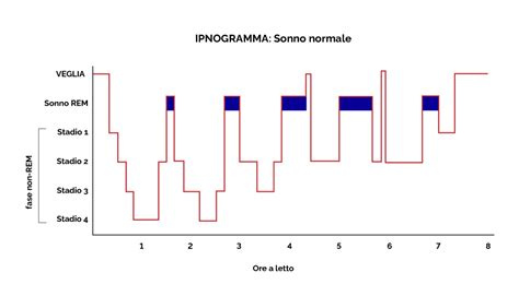 Schema sonno del neonato
