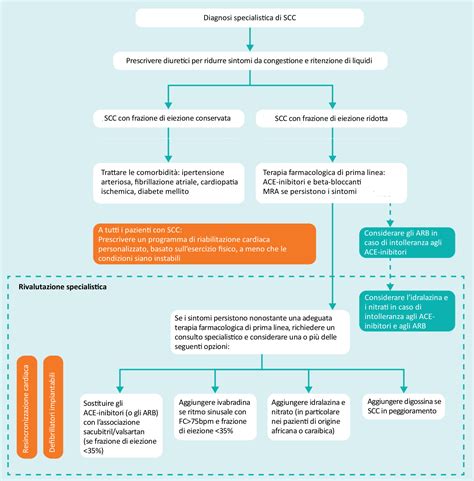 Diagramma che illustra l'algoritmo di trattamento per lesioni coronariche calcifiche