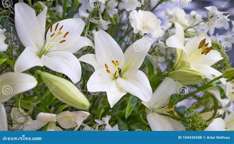 Gigli bianchi e iris viola