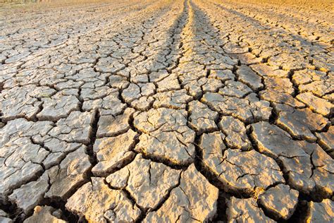 Terreno argilloso in condizioni di siccità che mostra crepe superficiali