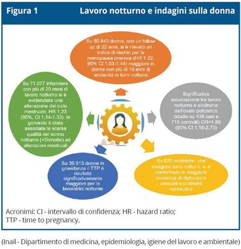 schema dei cicli di controllo per la salute riproduttiva maschile e femminile