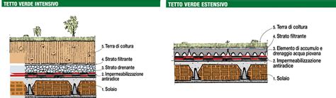 Sezione trasversale di un tetto verde con strati di substrato