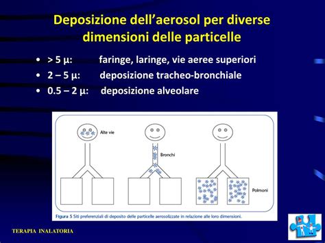 diagramma che illustra la deposizione delle particelle di aerosol nelle diverse parti delle vie aeree in base alla dimensione