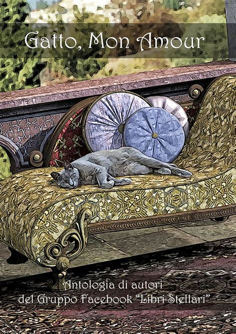 illustrazione libro