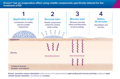 Mechanism of Eroxon gel action