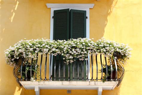 Immagine di un balcone fiorito in un appartamento
