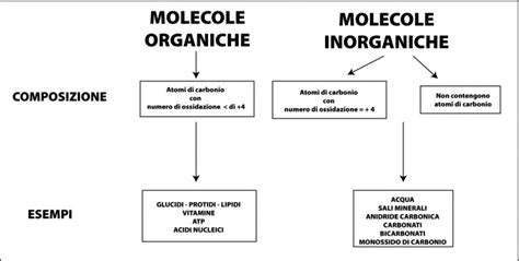 Schema illustrativo della composizione chimica dell'urina