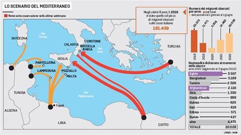 Mappa delle rotte migratorie delle tartarughe marine