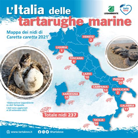 Mappa globale dei siti di nidificazione delle tartarughe marine