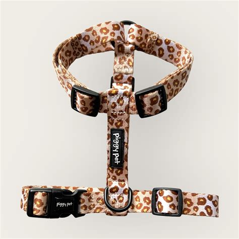 passeggiata con pettorina ad H