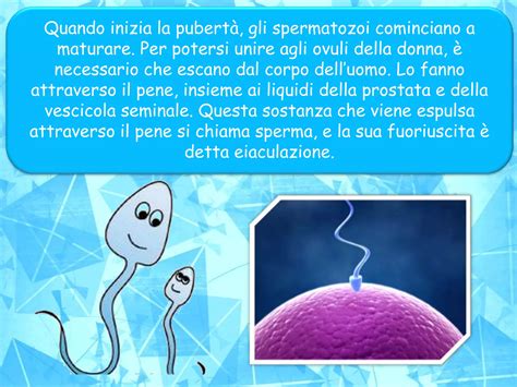 Microscopio che osserva ovuli e spermatozoi