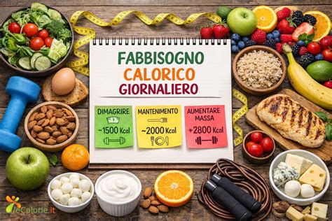 Infografica sulla gestione del fabbisogno proteico giornaliero