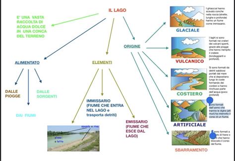 Diversi habitat acquatici: mare, lago, fiume