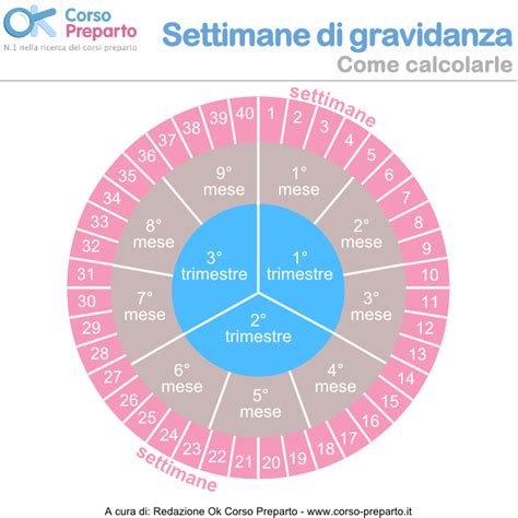 Un'infografica che mostra la timeline ideale per frequentare un corso preparto, con le settimane di gravidanza
