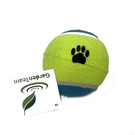 Un bambino concentrato che osserva la pallina da tennis