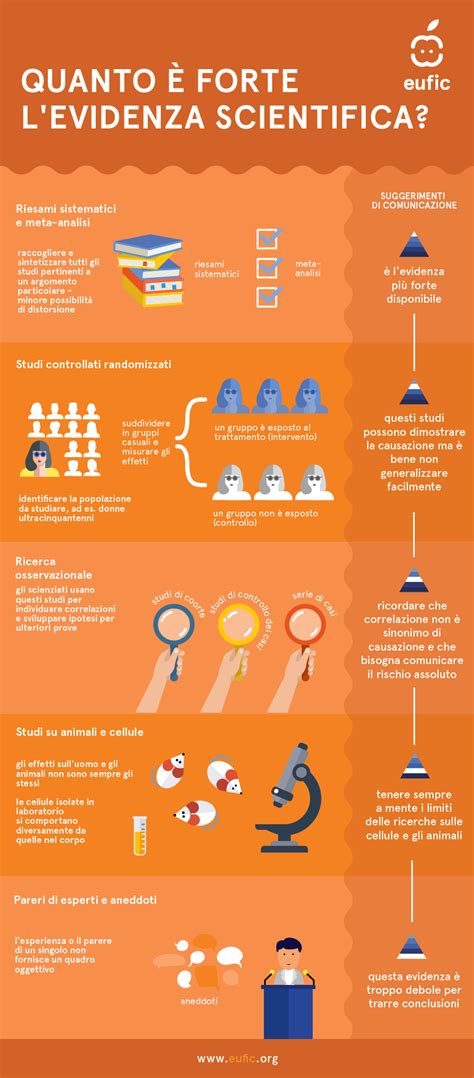 infografica che mostra la gerarchia delle cartelle audio su Android