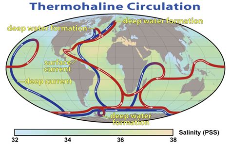 Diagramma della circolazione termoalina
